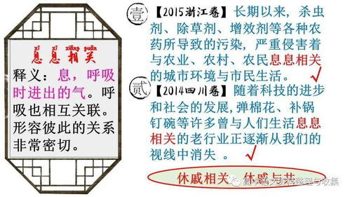精品课件 赠送一个课件 高频成语,满分突破